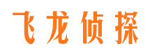 广南市私家侦探